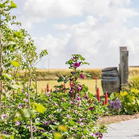 Op Oost Boutique Hotel&restaurant Het Kook Atelier Hotel 5*