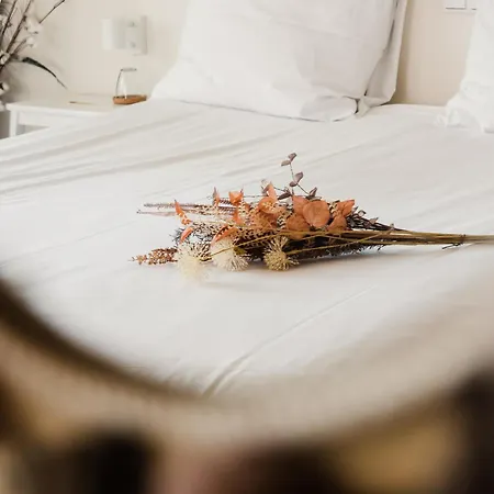 Op Oost Boutique Hotel&restaurant Het Kook Atelier Hotel