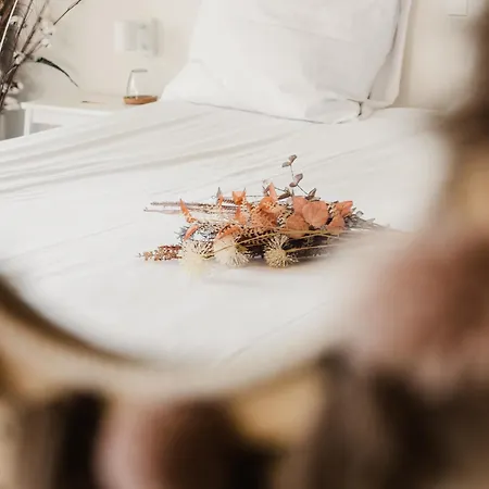 Op Oost Boutique & Restaurant Het Kook Atelier Hotel