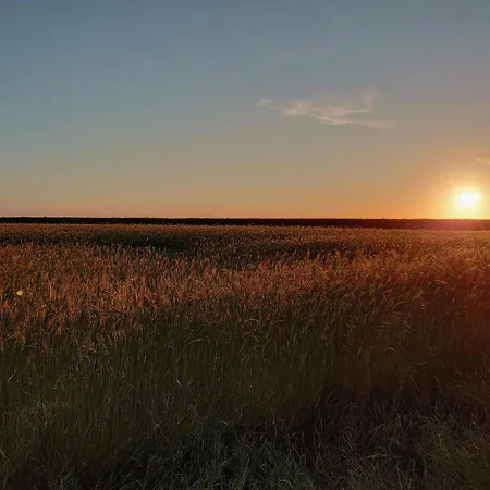 Op Oost Boutique & Restaurant Het Kook Atelier Oosterend (Texel)
