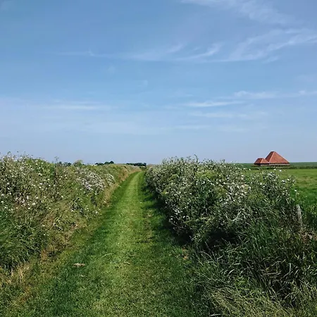 Hotel Op Oost Boutique & Restaurant Het Kook Atelier Oosterend (Texel)