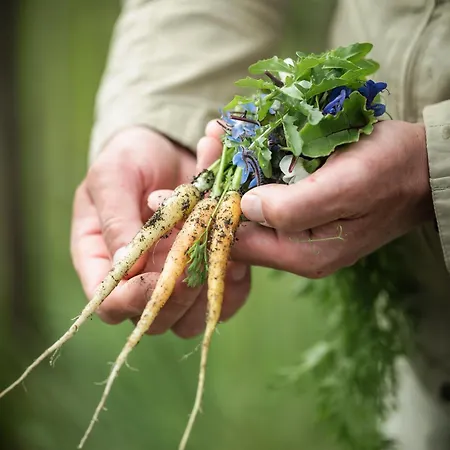 Op Oost Boutique & Restaurant Het Kook Atelier Oosterend (Texel)