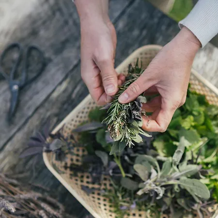 Hotel Op Oost Boutique & Restaurant Het Kook Atelier