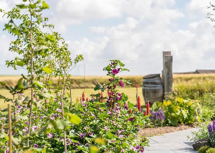 Op Oost Boutique Hotel&restaurant Het Kook Atelier Hotel 5*