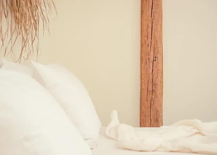 Op Oost Boutique Hotel&restaurant Het Kook Atelier Oosterend (Texel)