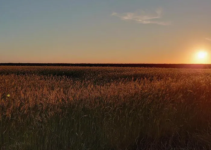 Op Oost Boutique Hotel&restaurant Het Kook Atelier Oosterend (Texel)