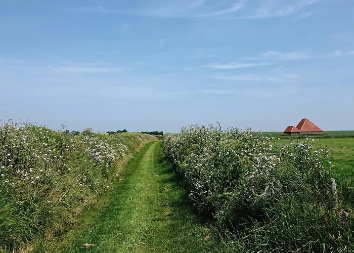 Hotel Op Oost Boutique Hotel&restaurant Het Kook Atelier Oosterend (Texel)